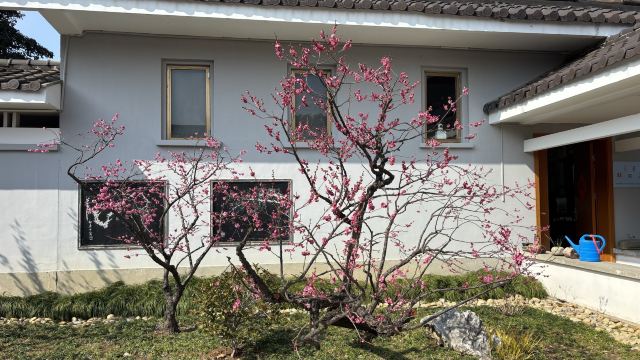 荣氏梅园旅行图片 3