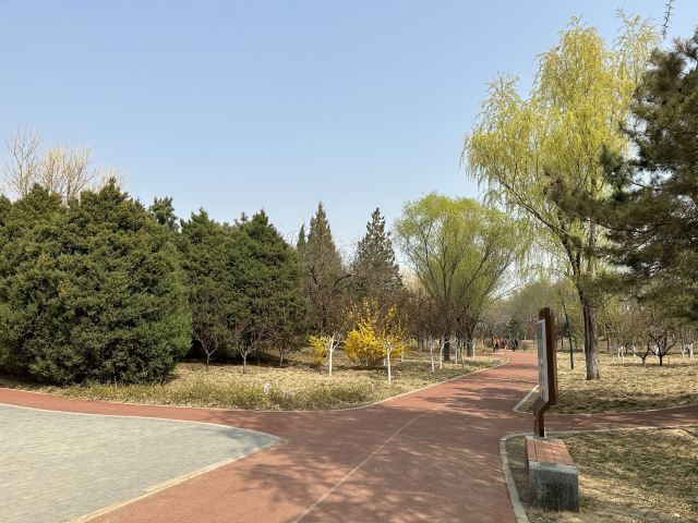 老山城市休闲公园旅行图片 11