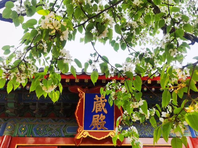 智化寺旅行图片 1