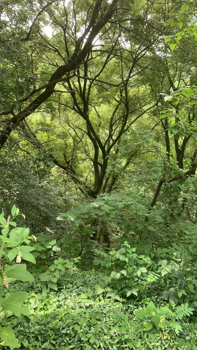 江苏省金坛茅山旅游度假区旅行图片 1
