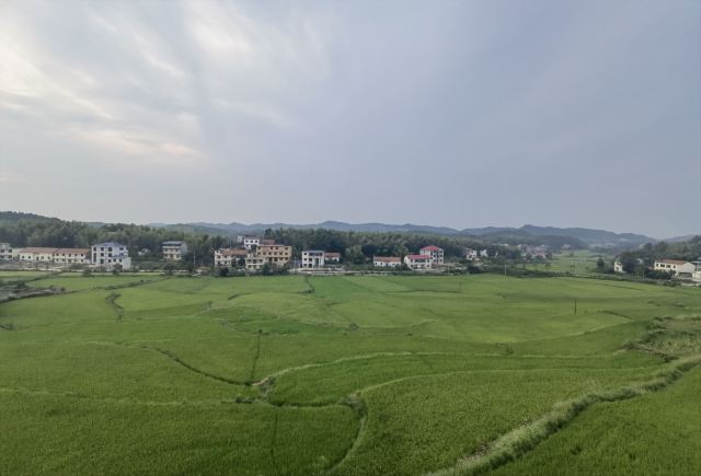湖北文旅萝卜公社旅行图片 3