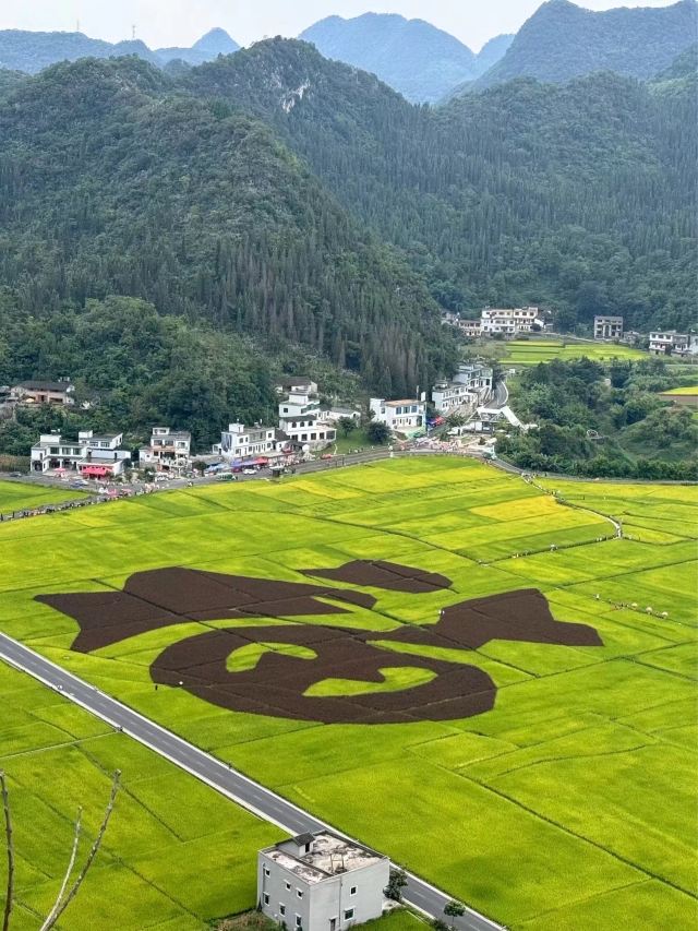 福字田旅行图片 5