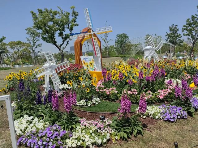 上海植物园旅行图片 2