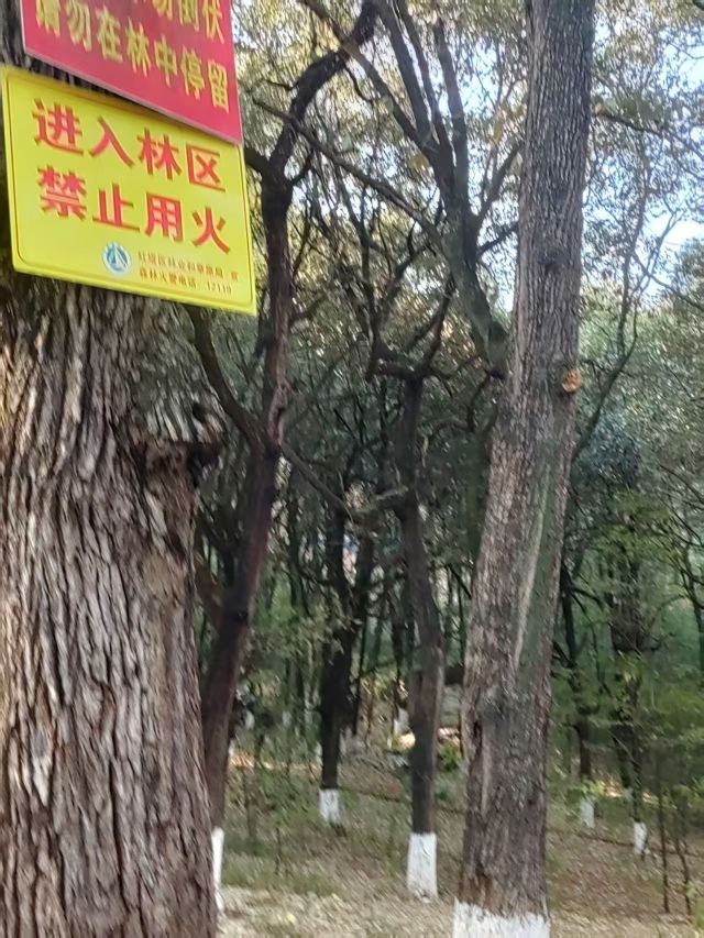 玉溪九龙池古建筑群-九龙宫旅行图片 4