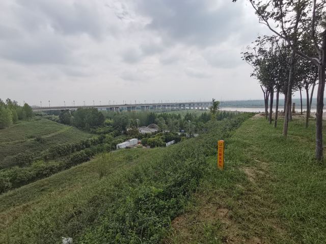 高陵泾渭湿地观光园旅行图片 8