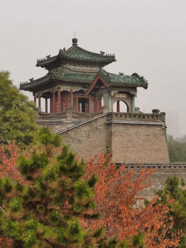 丛台公园旅行图片 4