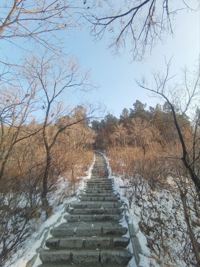 翠峰山公园旅行图片 5