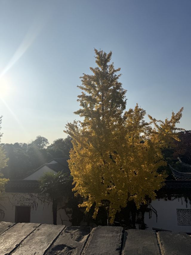 盘门景区旅行图片 2