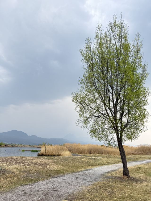 候鸟湾湿地旅行图片 1
