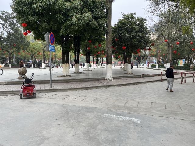 中山公园旅行图片 2