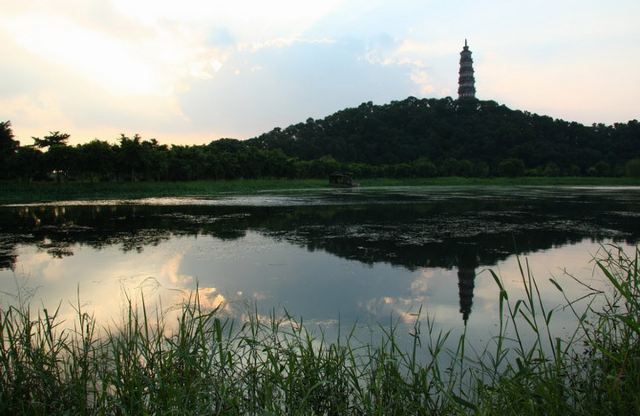 顺峰山公园旅行图片 6