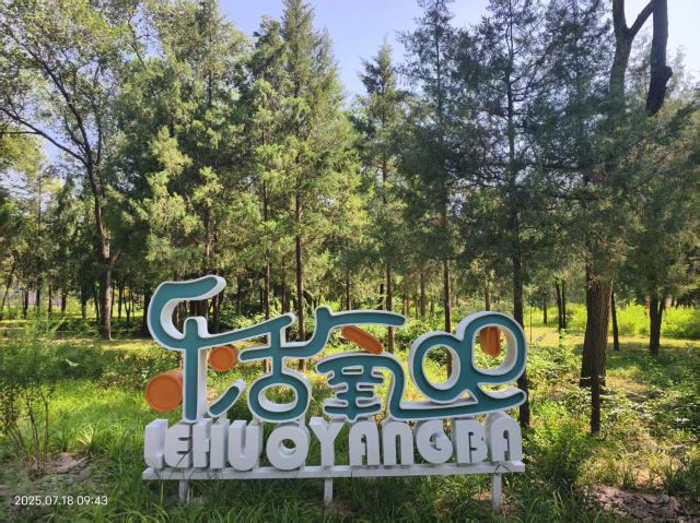 老山城市休闲公园旅行图片 1