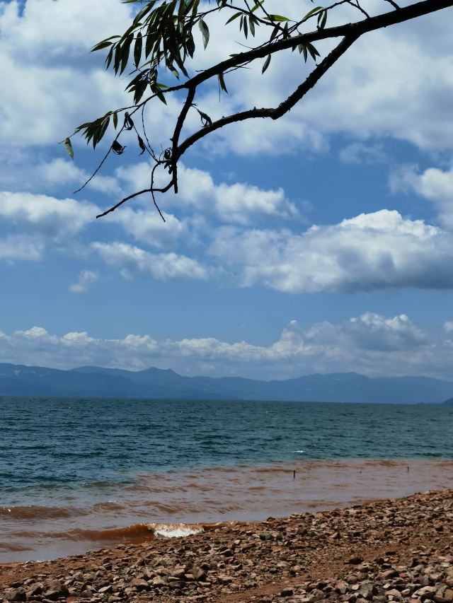 抚仙湖国际度假小镇湖畔森林公园旅行图片 12