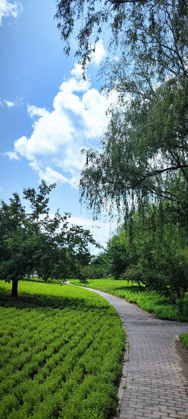 野鸭湖国家湿地公园旅行图片 3
