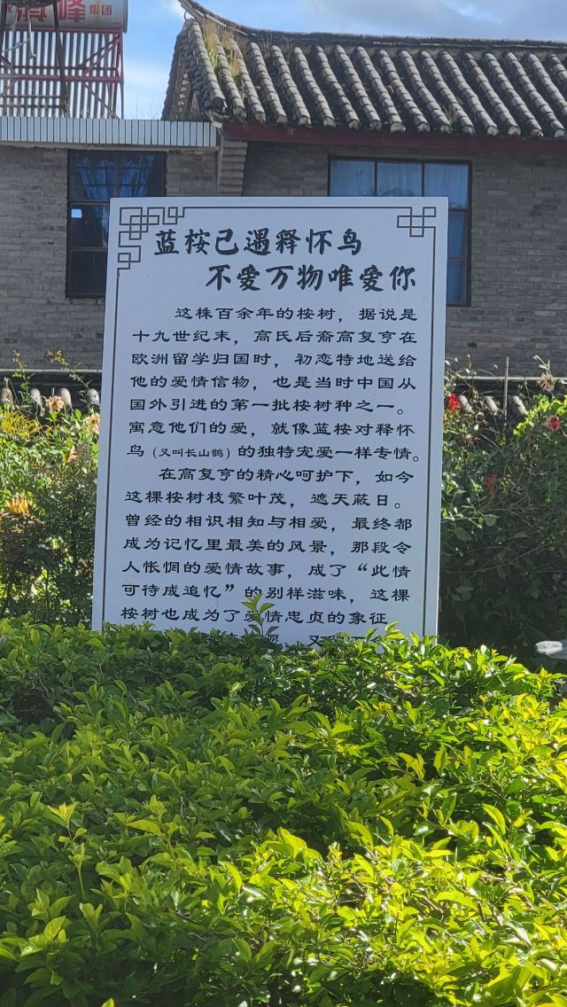 姚安路军民总管府旅行图片 7