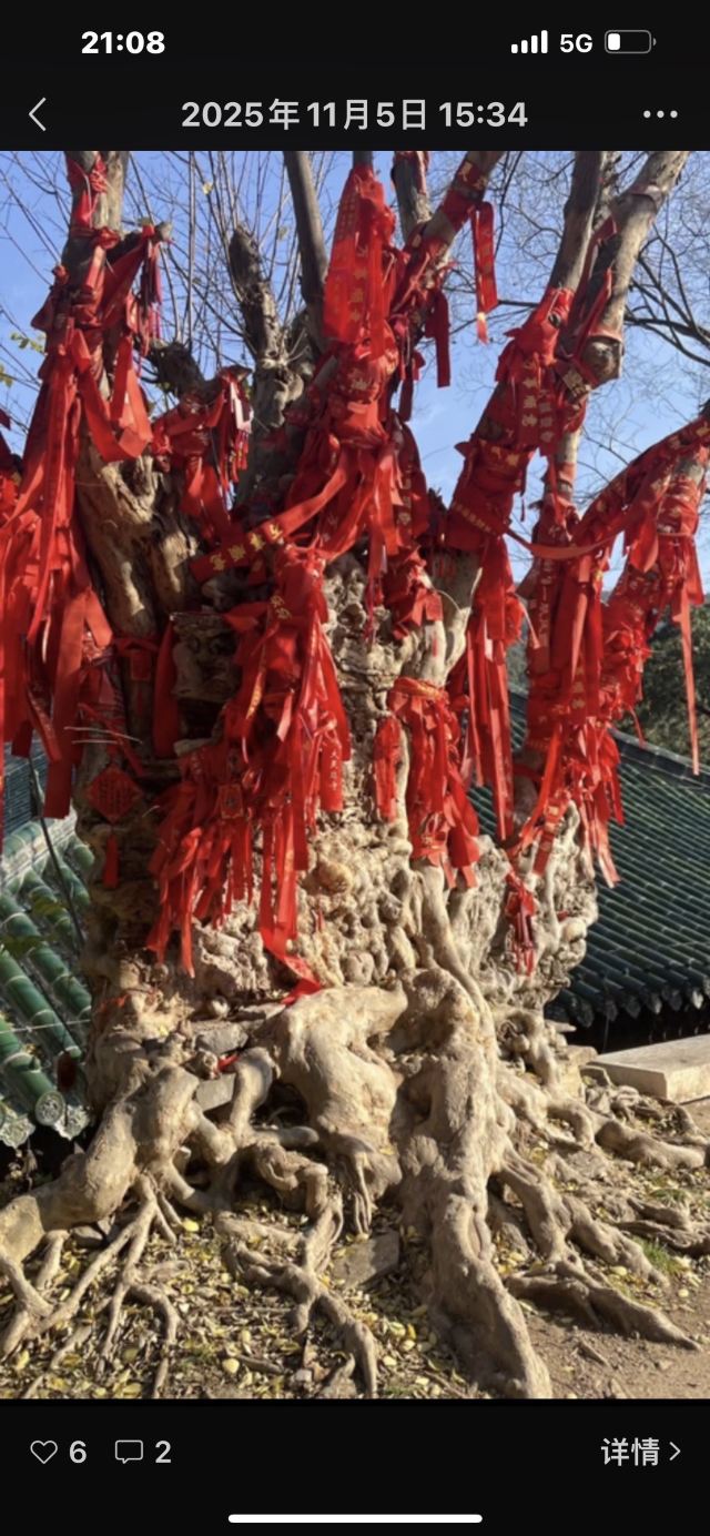 灵岩寺景区旅行图片 7