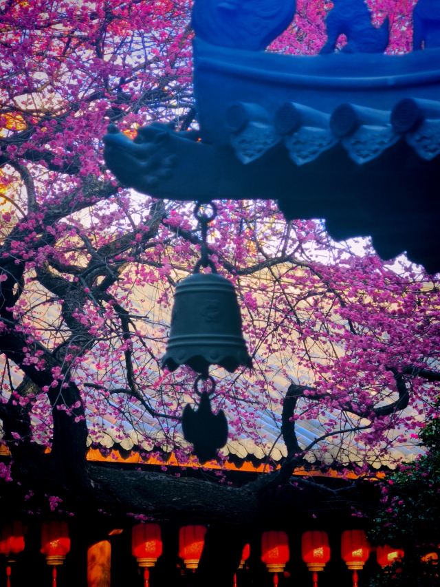 湖州铁佛寺旅行图片 9