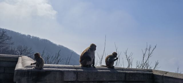 花果山风景区旅行图片 1