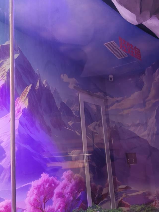 秦皇岛新澳海底世界旅行图片 1