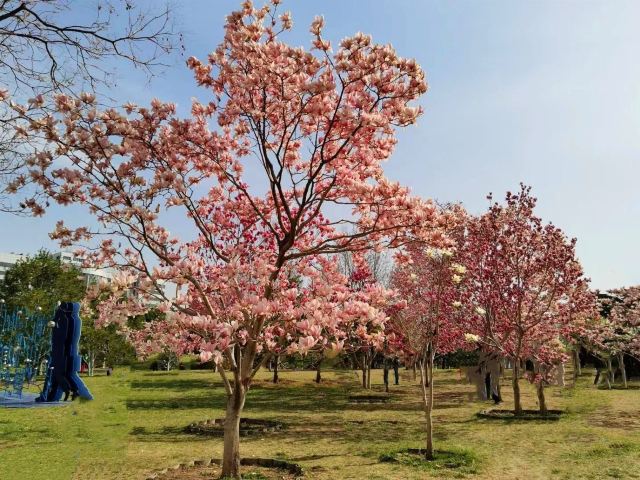 北京国际雕塑公园旅行图片 3