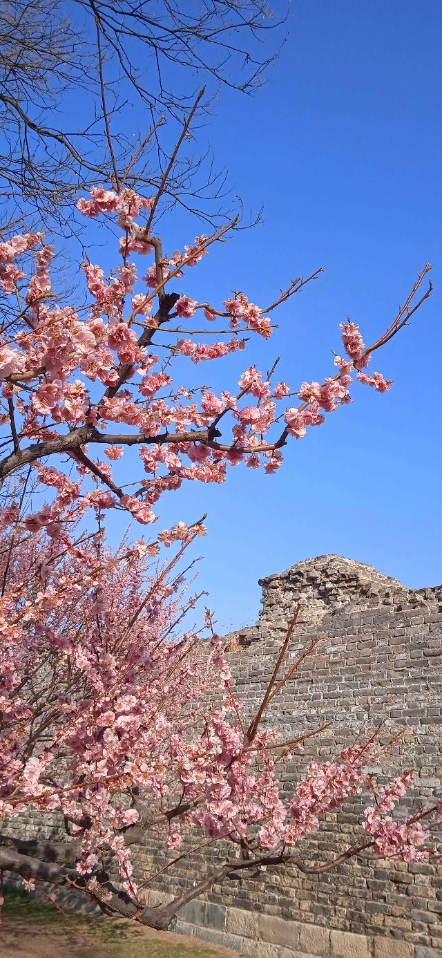 北京明城墙遗址公园旅行图片 1