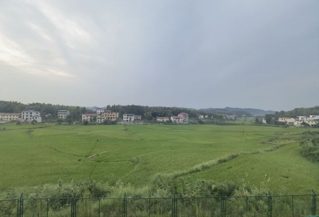 湖北文旅萝卜公社旅行图片 4