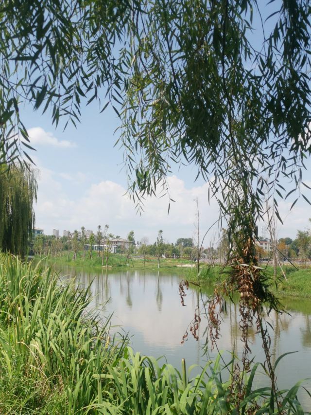 麒麟水乡旅行图片 9