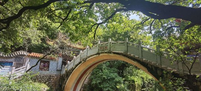 界鱼石公园旅行图片 9