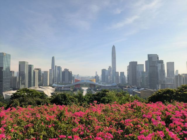 莲花山公园旅行图片 10