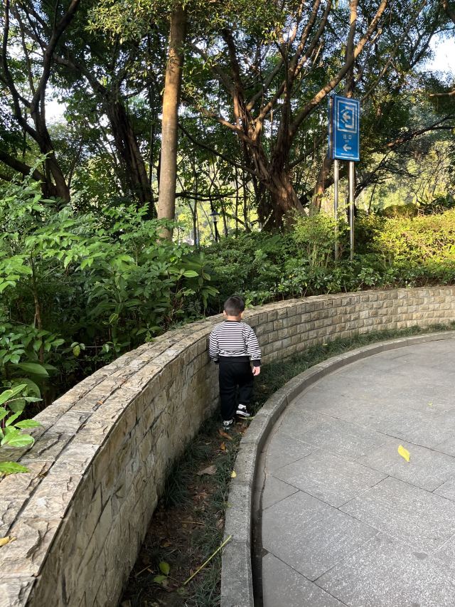 尖岗山公园旅行图片 1