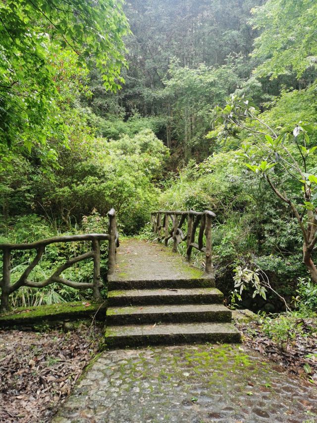 龙泉白云岩旅行图片 2