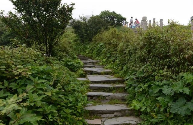 梵净山公园旅行图片 9