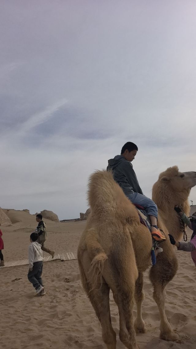 黑水城遗址(暂停开放)旅行图片 3