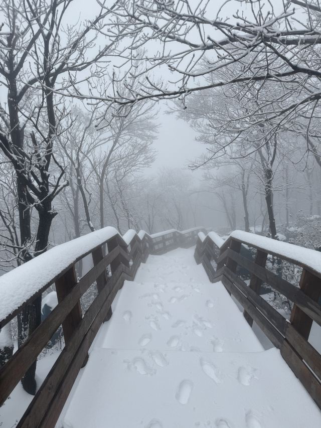 云上草原国际山地旅游度假区旅行图片 5