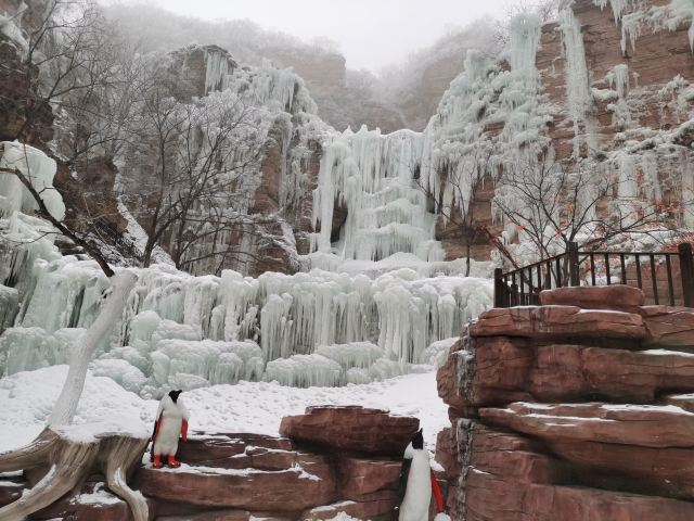 嶂石岩国家地质公园旅行图片 1