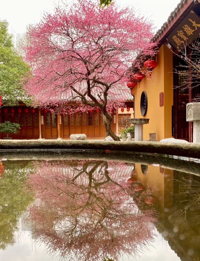 湖州铁佛寺旅行图片 1