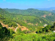 天鹿湖森林公园-广州-秒懂风景