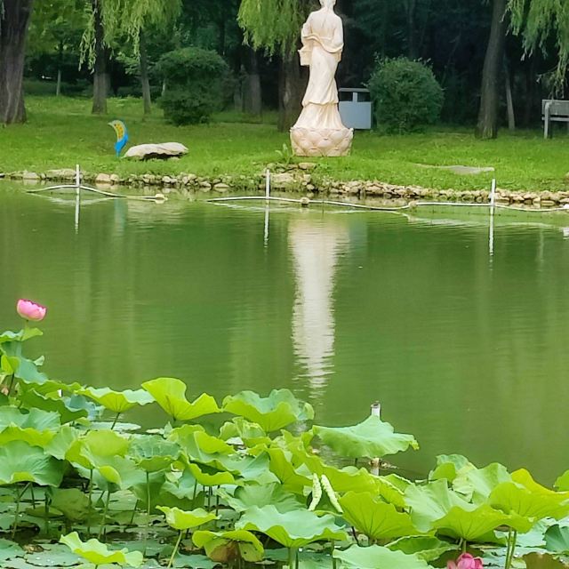 熊岳植物园旅行图片 3
