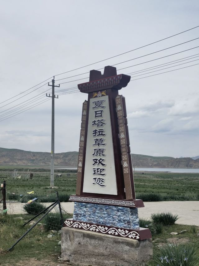 夏日塔拉草原旅行图片 1