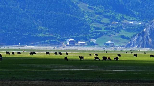 纳帕海旅游景区香巴拉牧场景点旅行图片 2