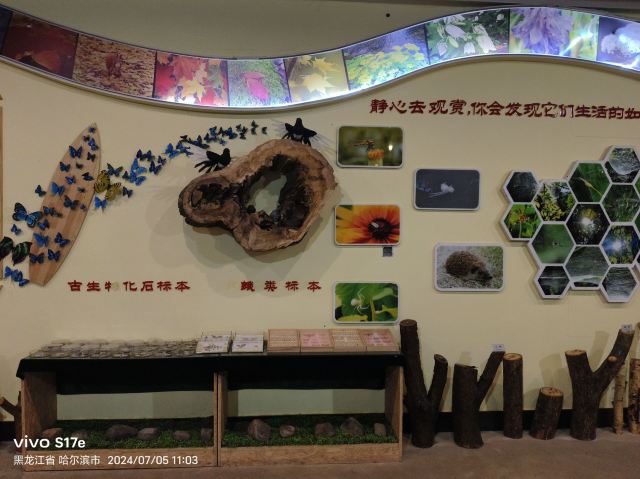 香炉山国家森林公园-自动售卖机旅行图片 13