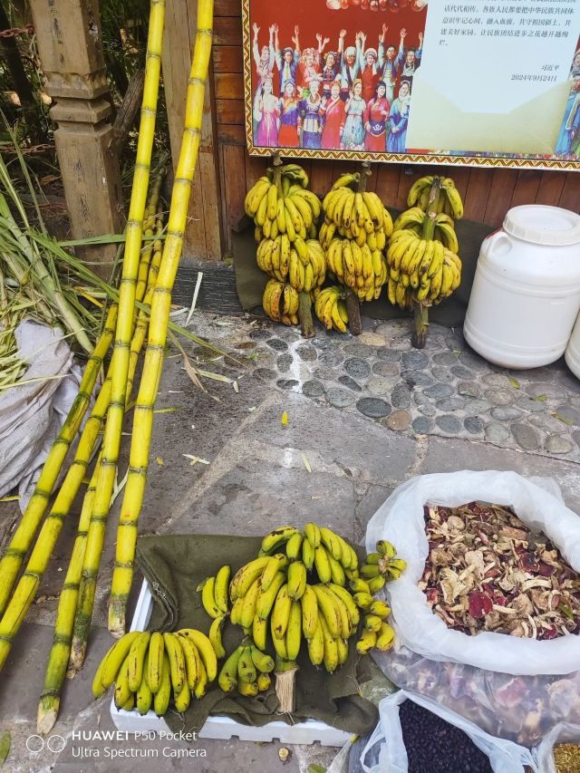 那柯里茶马驿站旅行图片 2