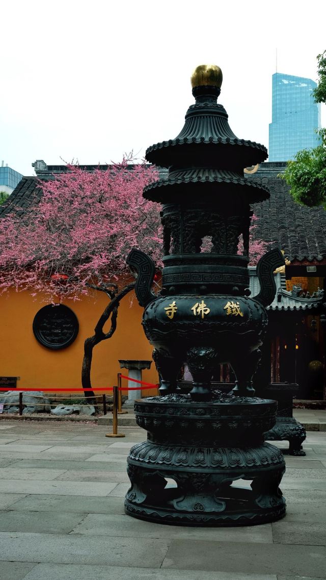 湖州铁佛寺旅行图片 3
