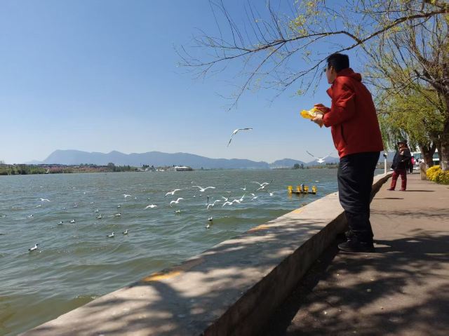 大观公园旅行图片 2