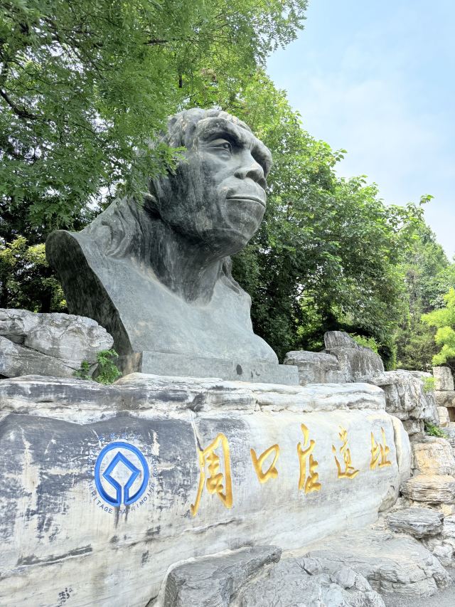 周口店遗址-北京猿人遗址旅行图片 2