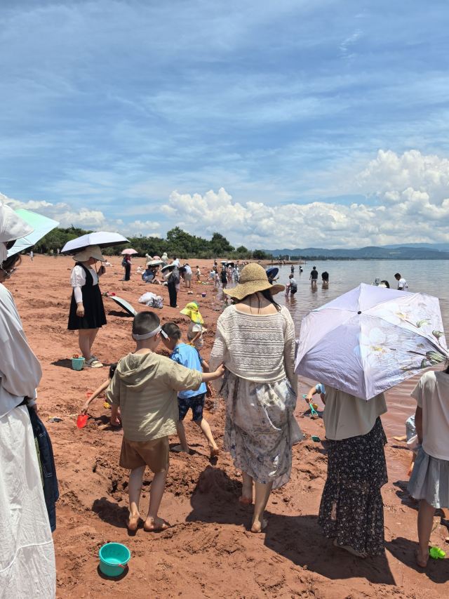 红沙滩旅行图片 1