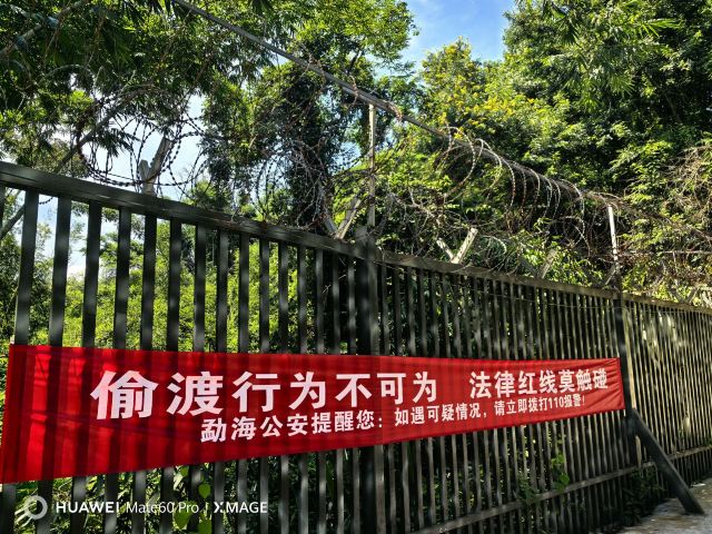 西双版纳独树成林景区旅行图片 3