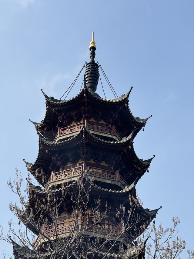 龙华寺旅行图片 1