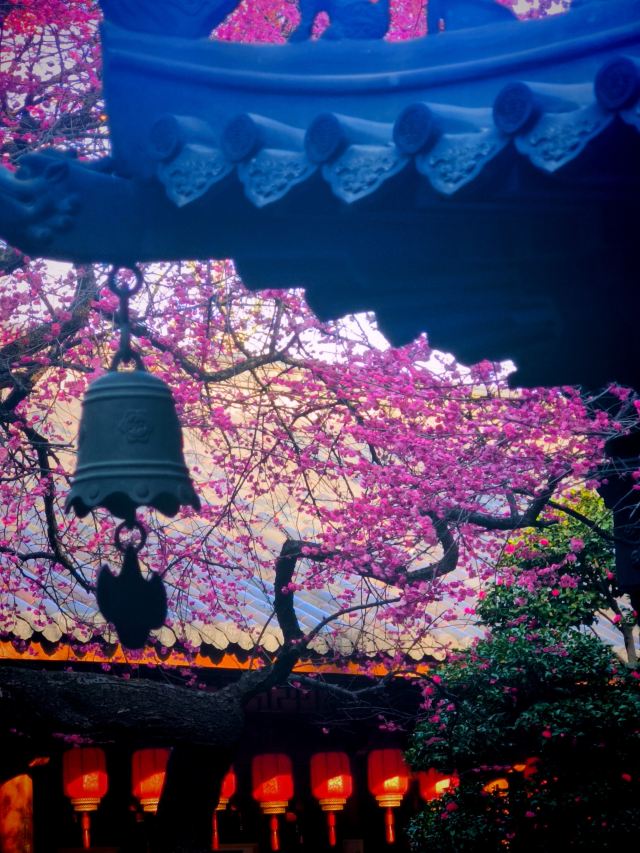 湖州铁佛寺旅行图片 8