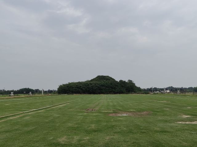 唐顺陵-遗址公园旅行图片 14